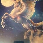 Peter Frederiksen - @frederiksen9074 - Instagram