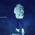 Peter Freeman - @peterifreeman - Instagram
