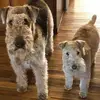 Peter Freeman - @peter.freeman8 - TikTok