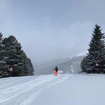 Peter Freesen - @peterfreesen - Instagram