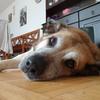 Peter Friedrichs - @peter.friedrichs - TikTok