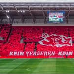 Peter Friedrichs - @peter9ri - Instagram