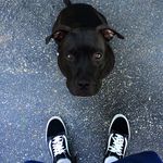 Peter Gabal - @peter_gabal - Instagram