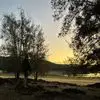 Peter_Gillard - @peter_gillard - TikTok