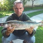 Péter Gajda - @peter.gajda.33 - Instagram