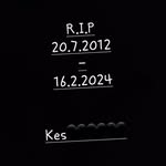 Peter Gajda Kes - @pedro1210kes - Instagram