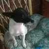 peter galanis - @petergalanis0 - TikTok