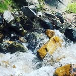 Peter Galbraith - @pete_the_pedro - Instagram