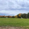 Peter - @peter.galen - TikTok