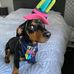 Peter Galla - Facebook