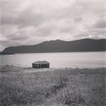 Peter Gallant - @nisher.pg - Instagram