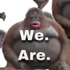 petergallegos - @iambad123sad - TikTok