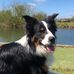 Peter Galpin - Facebook