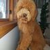 Peter Galvin - Facebook
