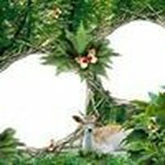 Peter Galvin - @galvin7467 - Instagram