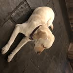 Peter Gammond - @gammondpeter - Instagram