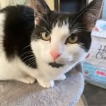 Peter Gannon - @petergannon16 - Instagram