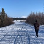 Peter Garfield - @wolffles25 - Instagram