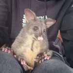 Peter Garlick - @housebus492 - Instagram
