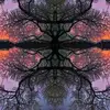 peterharrigan302 - @peterharrigan302 - TikTok