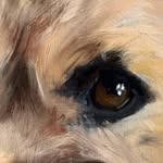 Peter Garstenveld - @petergarstenveld - Instagram