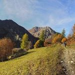 peter Gasparini - @gasparinipeter - Instagram