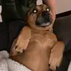 Peter Gassman - @peter.gassman - TikTok