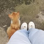 peter parker ♡ - @peter.gatinho - Instagram