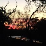 Peter Gatti - @gattipeter - Instagram
