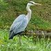 Peter Gatz - Facebook