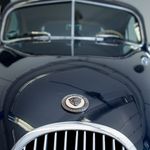 Peter Gaul - @peter.gaul.1253 - Instagram