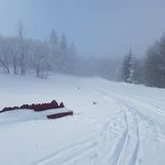 Peter Gaulard - @petergaulard - Instagram