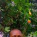 Peter Kinyua - Facebook