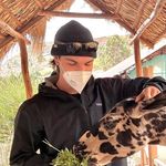 Peter Geis - @peterngeis - Instagram