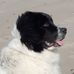 Peter Geis - Facebook