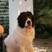 Peter Geis - Facebook