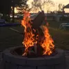petergendron470 - @petergendron470 - TikTok