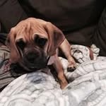 Peter Genna III - @petergennaiii - Instagram
