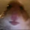 Петър Генов - @petergenov - TikTok