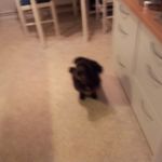 Peter Gerdes - @s.p.gerdes - Instagram