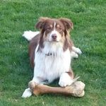 Peter Gerdes - @gerdesp - Instagram