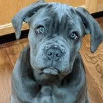 Peter Gerding - @peters_biglife - Instagram