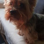 Peter Gerhardt - @peter.gerhardt.585 - Instagram