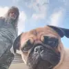 peterbegerow - @peterbegerow - TikTok