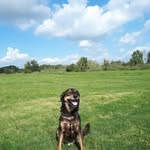 Peter Gerritsen - @pggerritsen - Instagram