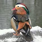 Peter Gerry - @peter.gerry.54 - Instagram