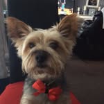 Petergerry Mckey - @petergerrymckey - Instagram