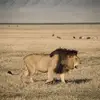 gersonpeter._ - @gersonpeter._ - TikTok