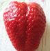 Peter Gerth - Facebook