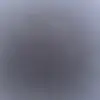 petergiardinaspam - @petergiardinaspam - TikTok